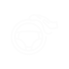 Lenkradreinigung Icon